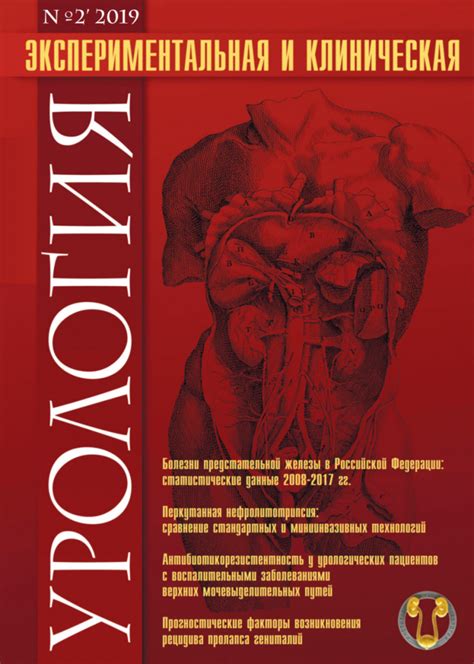 Лечение сонной артериальной боли: от домашних методов до медикаментозной терапии