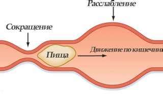 Лечение ускоренной перистальтики кишечника