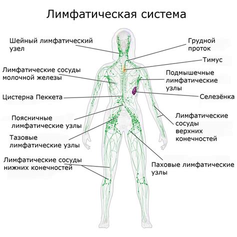 Лимфатические заболевания