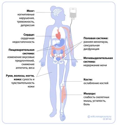 Лимфоузлы реактивного характера: понятие и симптомы