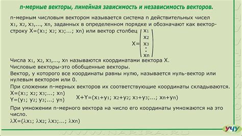 Линейная независимость и размерность пространства