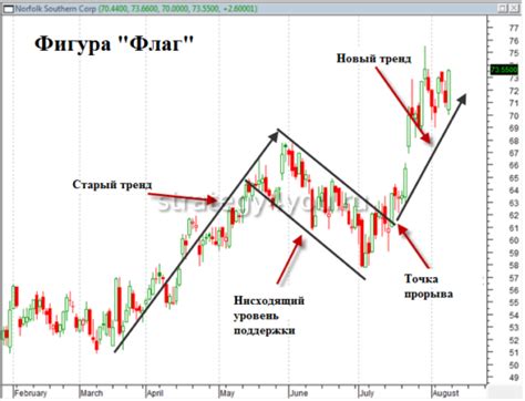 Линии и паттерны: значение и символика