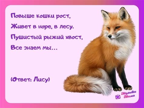 Лиса в мире сновидений: загадка отсутствия центральной роли в собственных снах