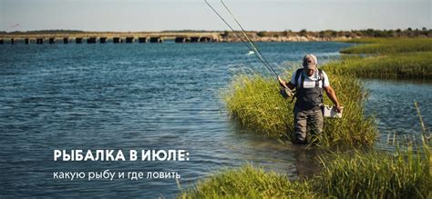 Ловить рыбу весело и легко - благоприятные изменения и положительное настроение