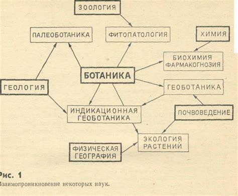 Лоекает и его взаимосвязь с другими заболеваниями