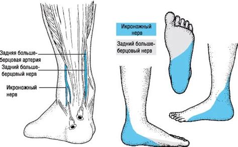 Локализация символа: правая нога