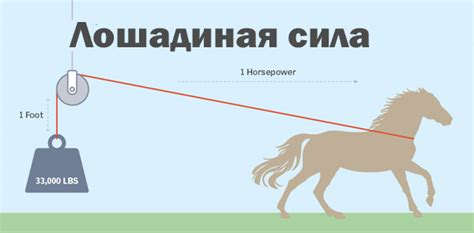 Лошадиные силы: значение и особенности мощности автомобиля