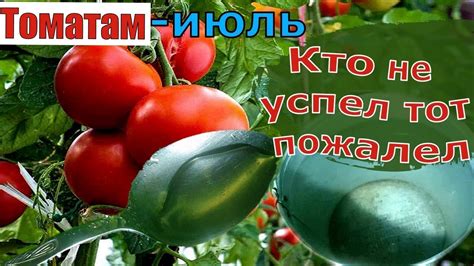 Лучшая консистенция для перетертых помидоров