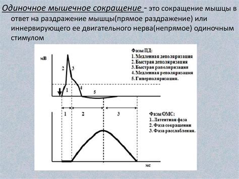 МГС: сокращение и его значение