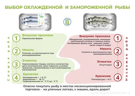 Магический подтекст сновидения о обильном количестве замороженной рыбы