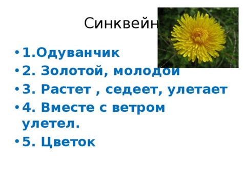 Магия слов и образов в произведениях Пришвина