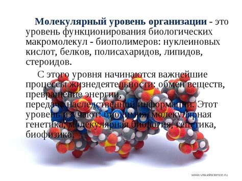 Мажордом: определение, функции, роль