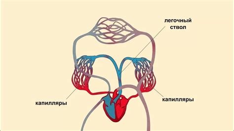 Малый круг: что это значит?