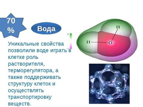 Манямирок - изучаем его значение и уникальные свойства