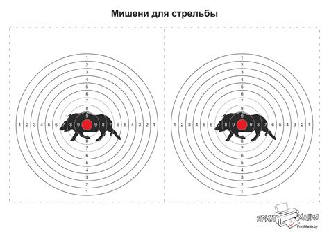 Манящая мишень для воров