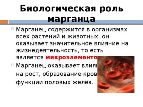 Марганец и его роль в обмене веществ