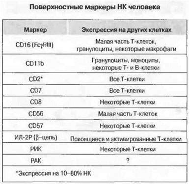 Маркер НК присутствует