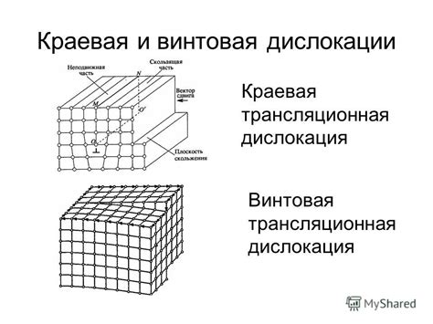 Масштабы и дислокация противников