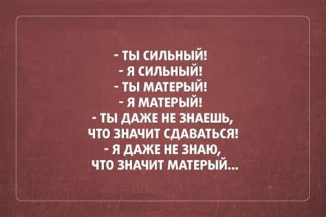 Матерый пес: что это значит?