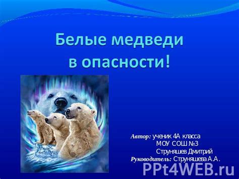 Медведи в сновидении: предвестник опасности или угрозы?