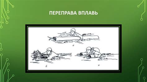 Медведь: ощущение защиты или необходимость преодоления препятствий?