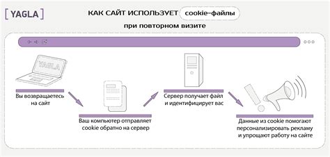 Медиафайлы: что это такое и для чего они нужны? - Важная информация!