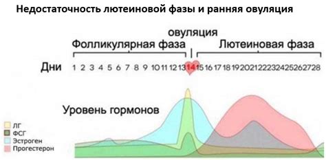 Медикаментозное лечение недостаточности лютеиновой фазы