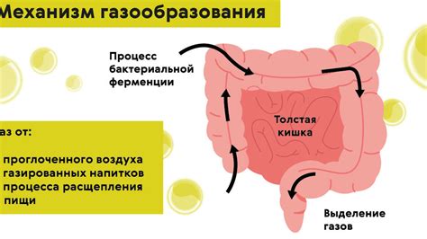 Медицинские причины газообразования