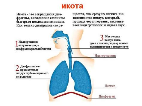 Медицинские причины икоты