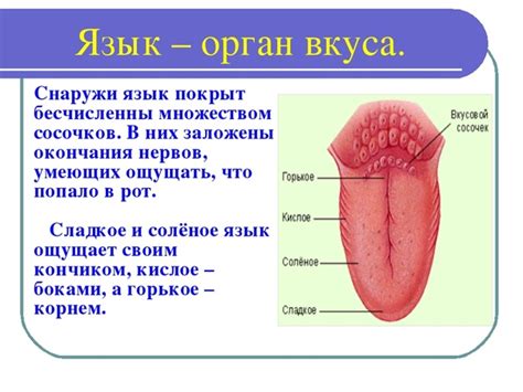 Медицинские причины покалывания языка