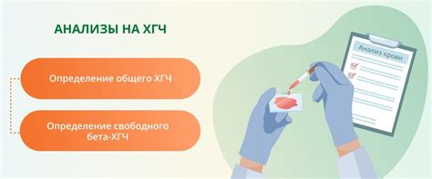 Медицинский анализ ХГЧ 561