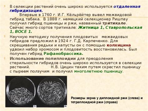 Межвидовой гибрид: определение и общие концепции