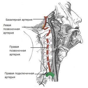 Межпозвонки диски гипогидратированы: важное состояние