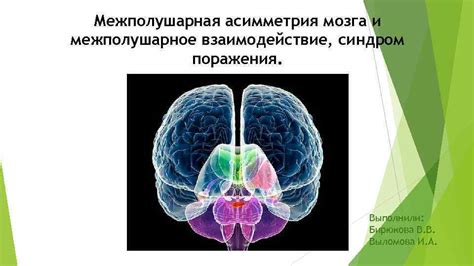 Межполушарная асимметрия: определение и причины