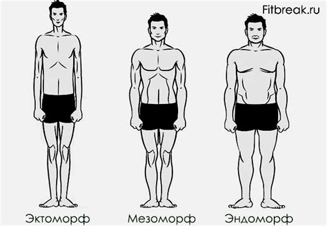 Мелкое телосложение: определение и особенности