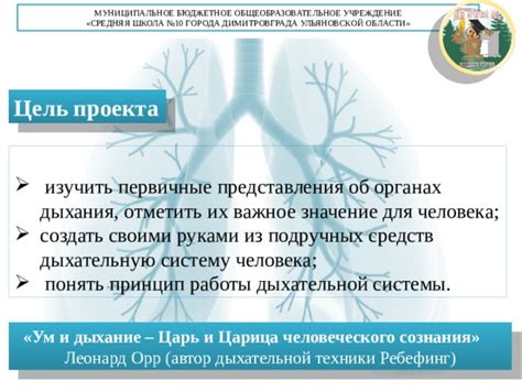 Мембранное дыхание: суть и принцип работы