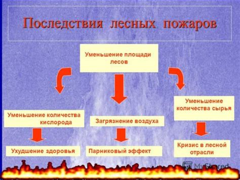 Меры предотвращения и борьбы