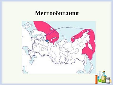 Места обитания и миграции