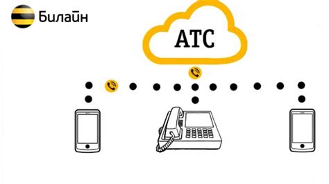 Местные звонки Билайн: особенности и преимущества