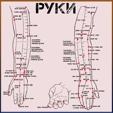 Местоположение акупунктурных точек на теле