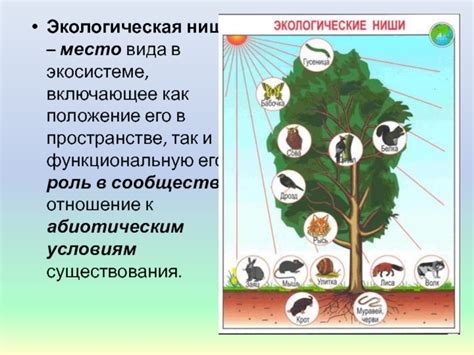 Место выкормыша в экосистеме