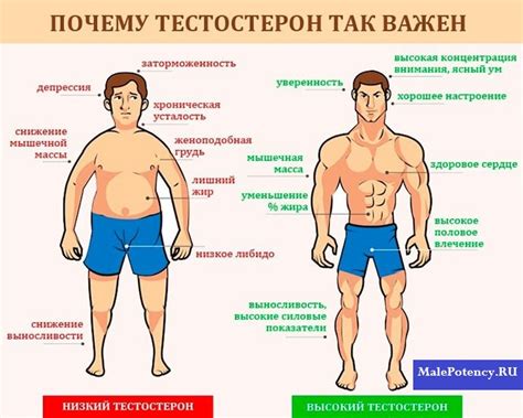 Месячные и гормональный фон мужчин