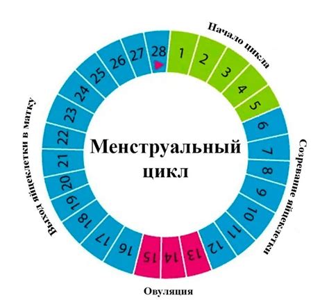 Месячные не приходят: возможные причины и советы