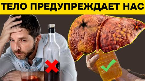 Метаболизирование печенью: что это означает?