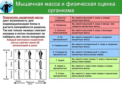 Метаболический возраст: обнаружение преждевременного старения