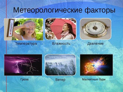 Метеорологические факторы