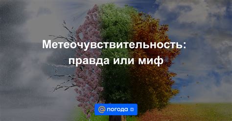 Метеочувствительность и изменения погоды