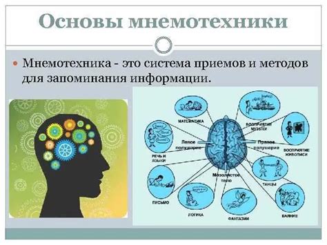 Методика Мнемоника: законы запоминания информации