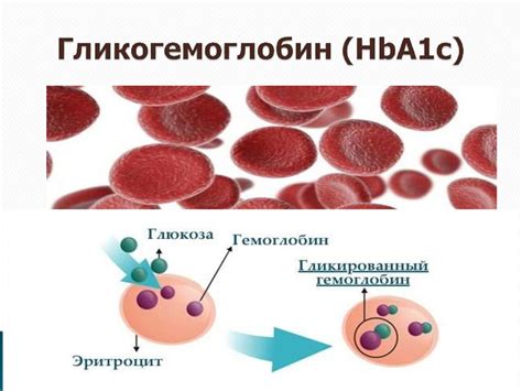 Методы анализа гликозилированного гемоглобина и их достоверность