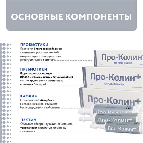 Методы восстановления и поддержания нормальной микрофлоры коккобациллы